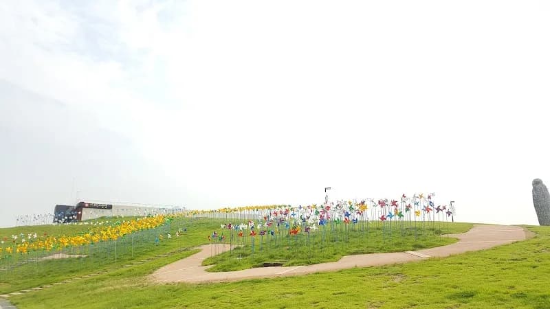 Exploring the Border: A 1-Day DMZ & Third Tunnel Adventure